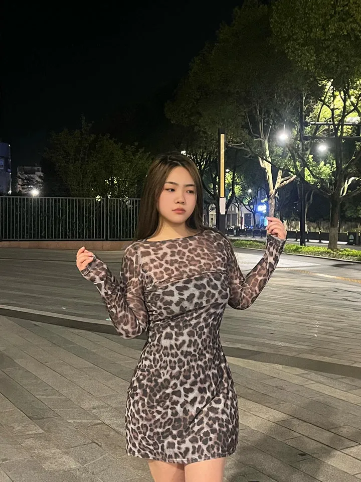 Keely Leopard Two Piece Mesh Dress